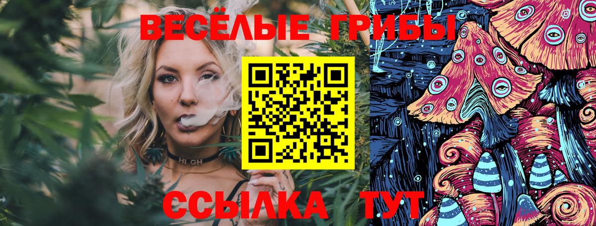 Псилоцибиновые грибы мицелий  купить наркотики цена  Отрадный  Вход с VPN 